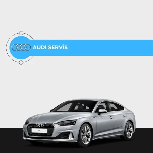 Audi özel servis