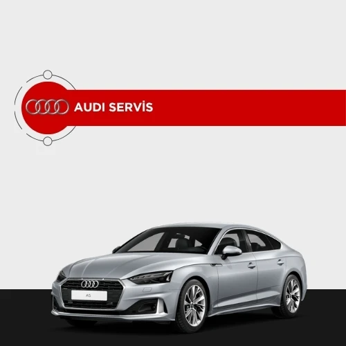 Audi özel servis