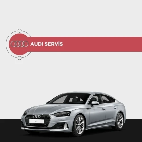 Audi özel servis