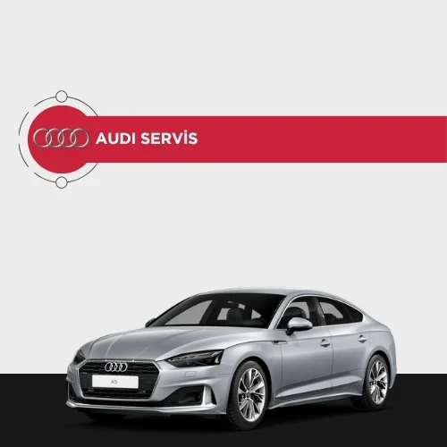 Audi özel servis