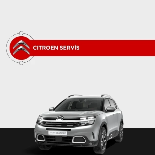 Citroen özel servis