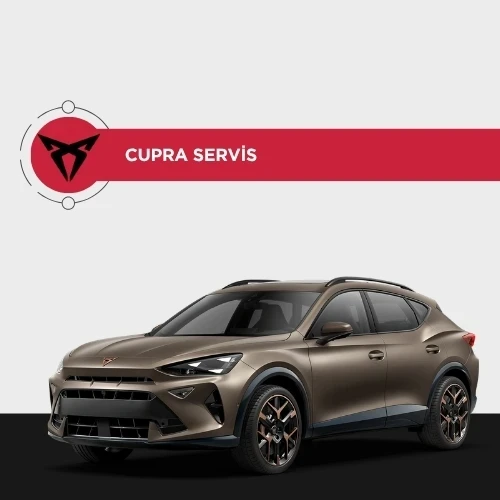 Cupra özel servis
