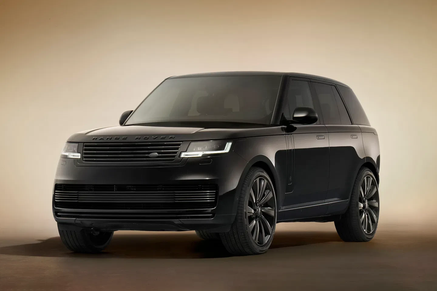 Land Rover özel servis