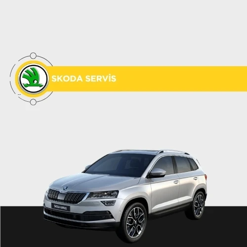 Skoda özel servis
