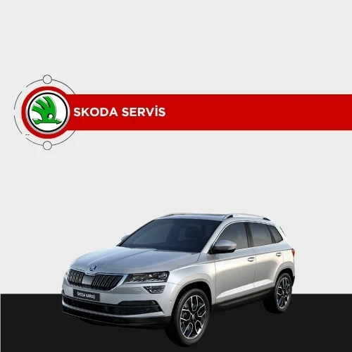 Skoda özel servis