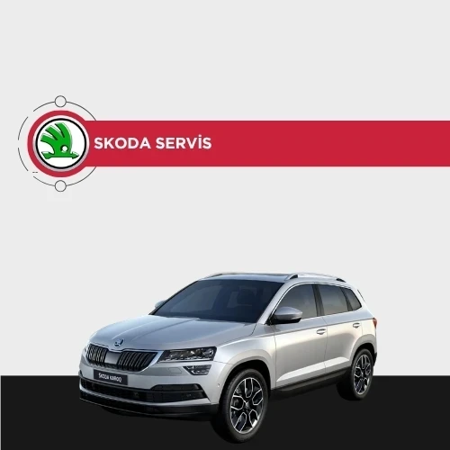 Skoda özel servis